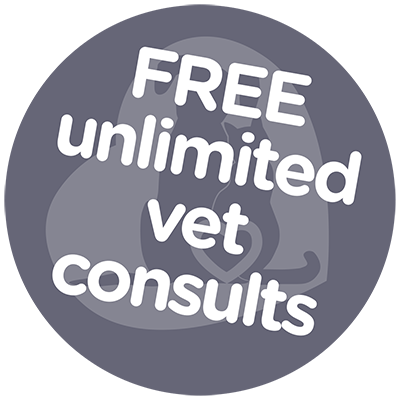 Total Wellness – harrisonfamilyvets