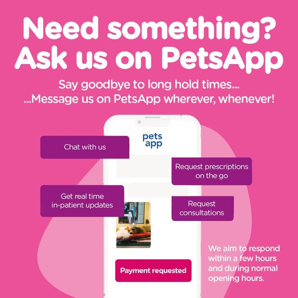 Introducing PetsApp!